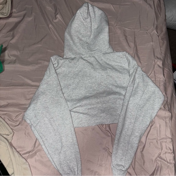 Cropped Gildan Light Gray Browns Hoodie - Picture 3 of 3